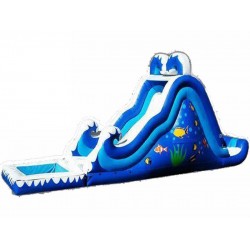 Pool Bounce House Pool Bounce House