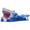 Inflatable Shark Slip N Slide