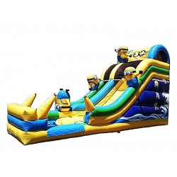 Minion Madness Slide Minion Madness Slide