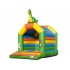 Dinosaur Bouncy Castle