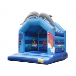 Bouncy Castle Dolphin Bouncy Castle Dolphin