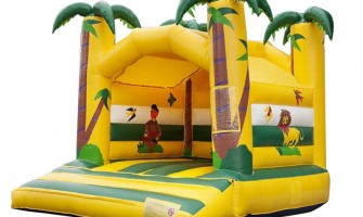 How to Choose the Right Bouncy Castle for Your Party?