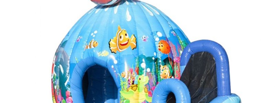 The Financial Sense of Bouncy Castles: Is It a Worthwhile Investment? The Financial Sense of Bouncy Castles: Is It a Worthwhile Investment?