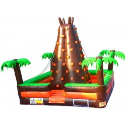 Inflatable Rock Climbing Wall Inflatable Rock Climbing Wall