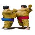 Sumo Wrestling Suit