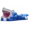 Inflatable Shark Slip N Slide