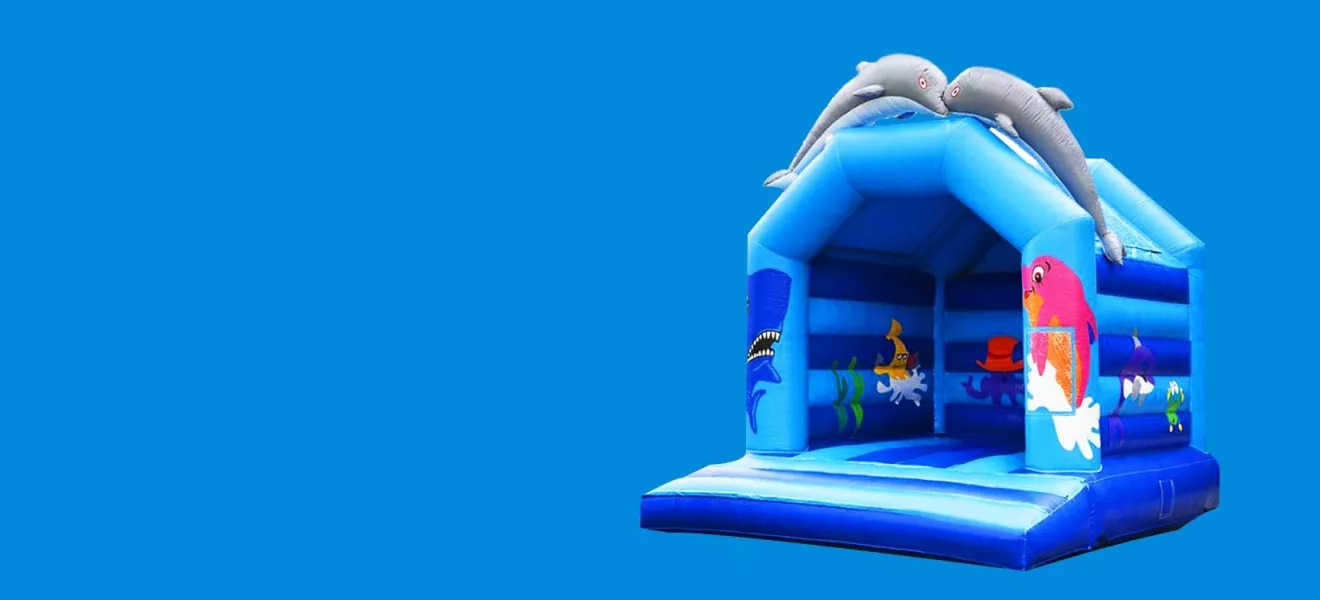 Bouncy Castle Dolphin