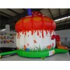 Inflatable Mushroom Castle