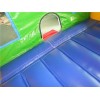 Inflatable Animal Jumper