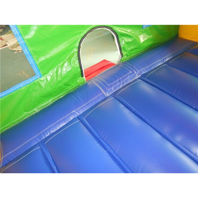 Inflatable Animal Jumper