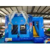 Dolphin Bouncy With Slide