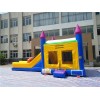 Wet Dry Bounce House