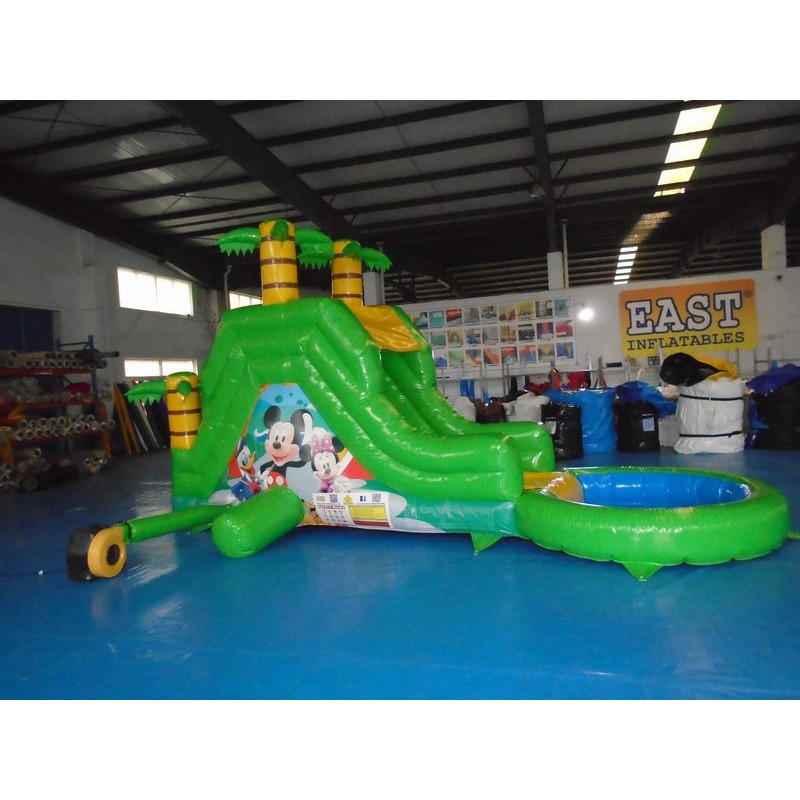 Large Inflatable Water Slides