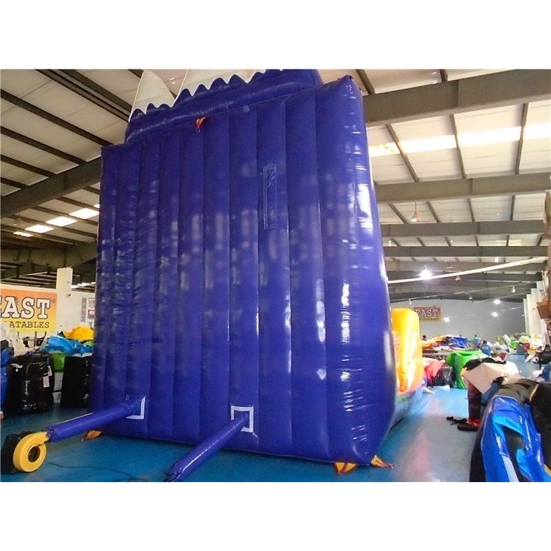 Inflatable Sport Climb